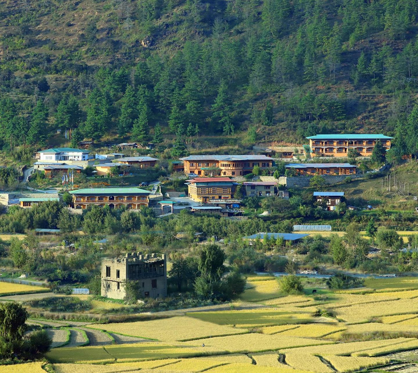 Rema Resort Paro Exteriér fotografie